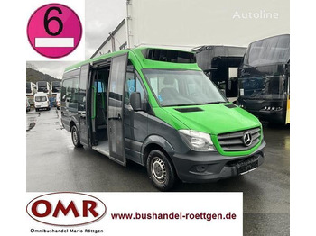 Minibus, Passenger van — Mercedes Sprinter 314 Mobility